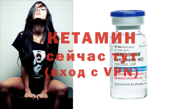 стаф Заводоуковск