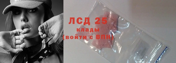 мяу мяу мука Елабуга