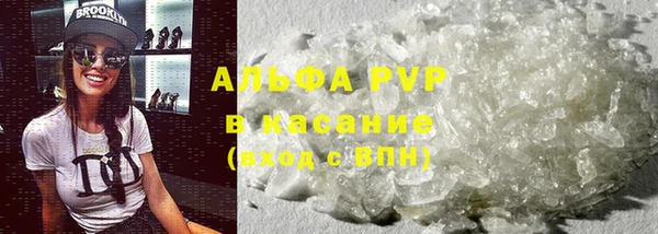 мяу мяу мука Елабуга