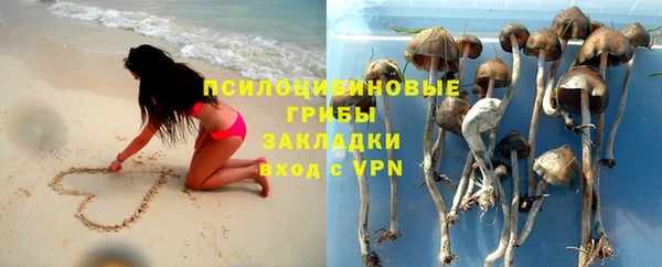 стаф Заводоуковск