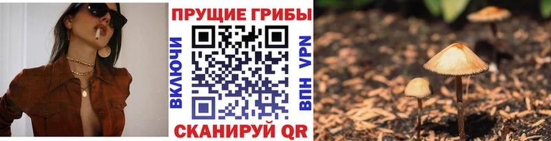 Галлюциногенные грибы Psilocybe  Купить где  Краснозаводск 